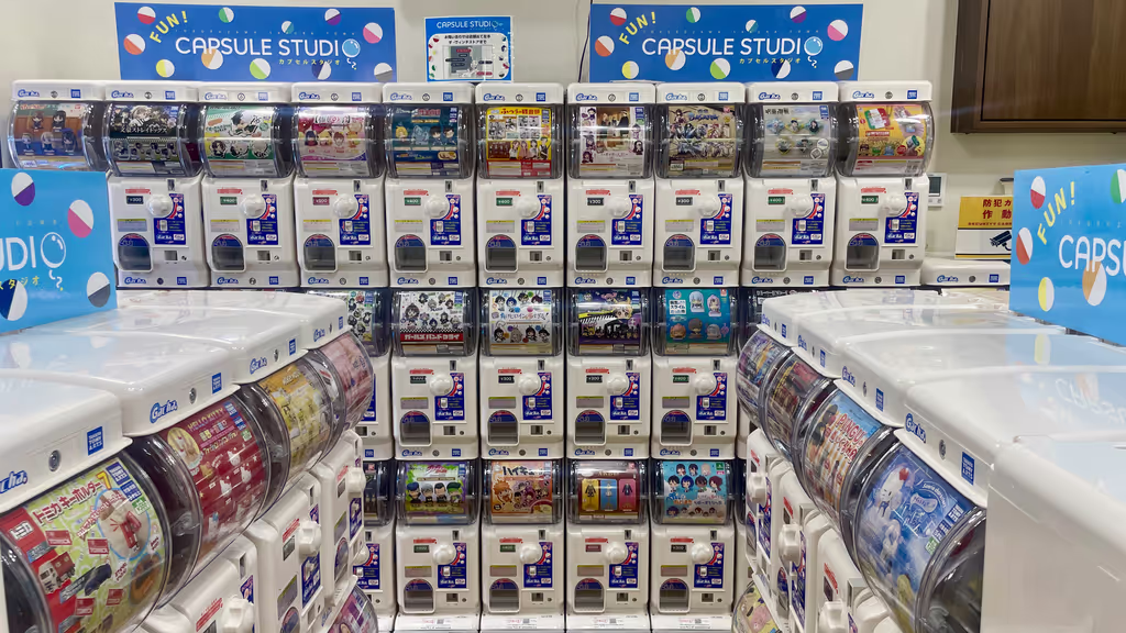 Saitama Private Tour - Capsule Studio