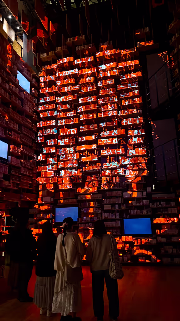 Saitama Private Tour - Projection Mapping