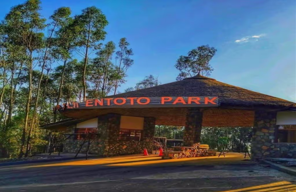 Addis Ababa Private Tour - Entoto park entrance