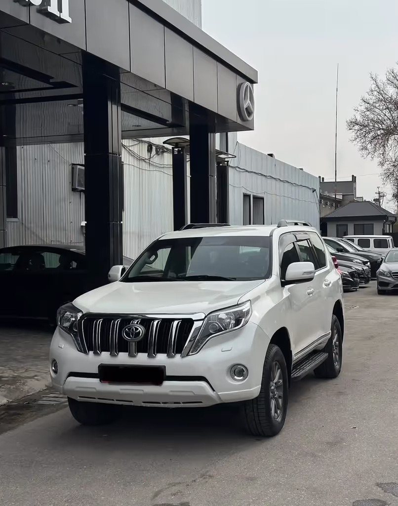 Dushanbe Private Tour - The Tour Car