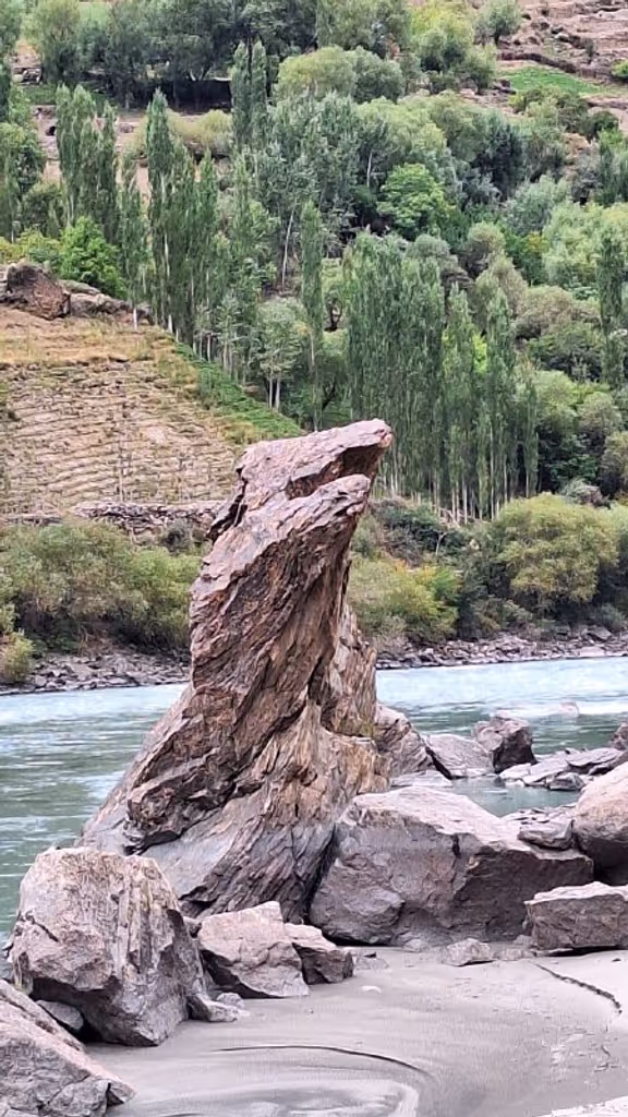 Dushanbe Private Tour - A Dinosaur Stone by Panj River