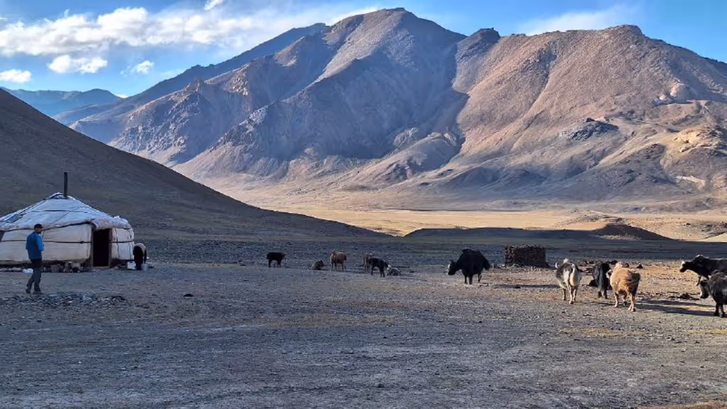 Dushanbe Private Tour - A Pastureland for Yaks in Murgab