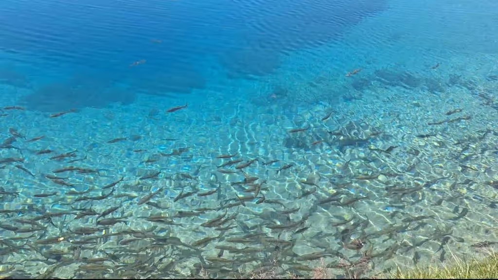 Dushanbe Private Tour - Ak- Balik Lake