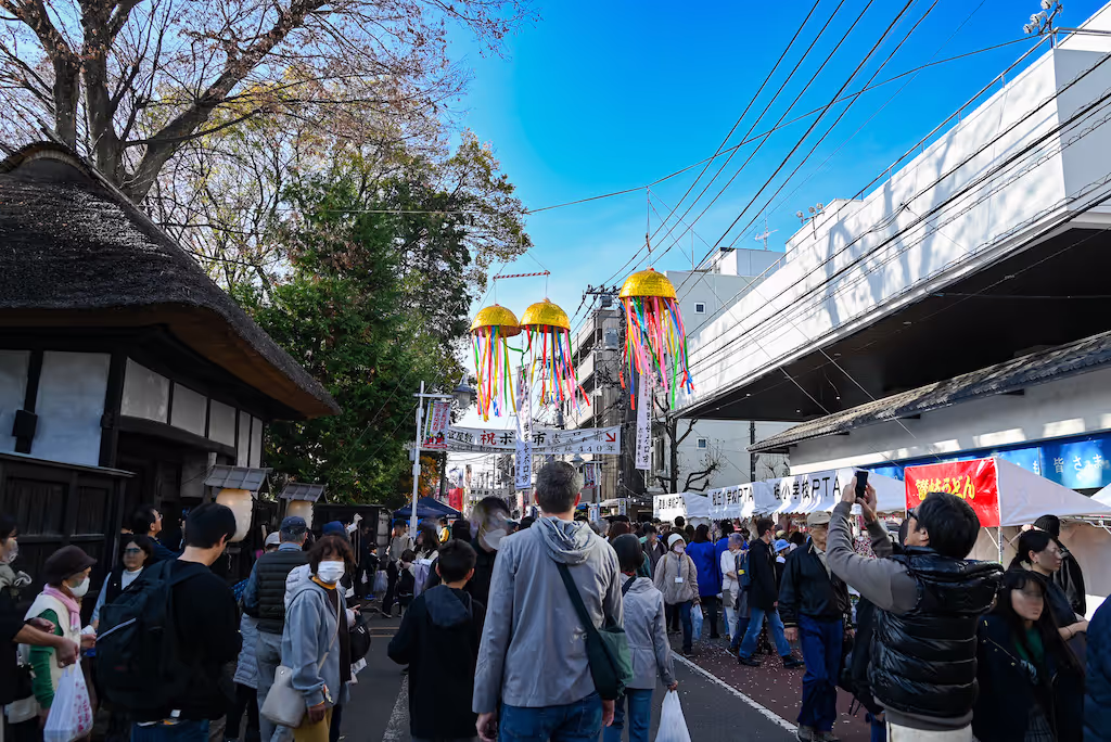 Kanagawa Private Tour - Setagaya Boroichi (Flea Market)