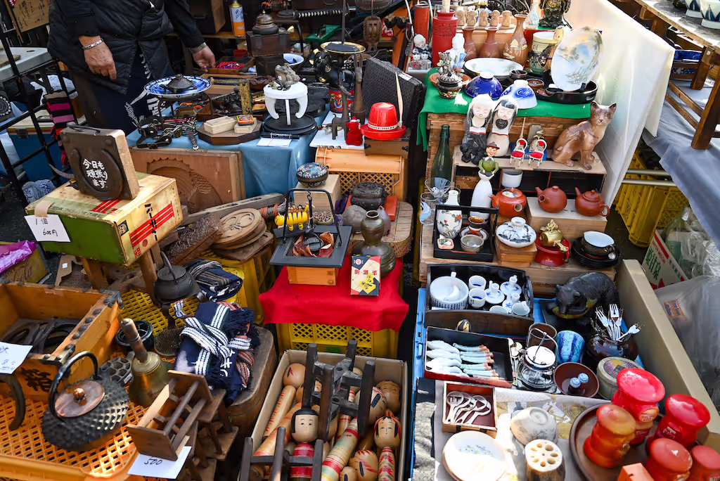 Kanagawa Private Tour - Setagaya Boroichi (Flea Market)