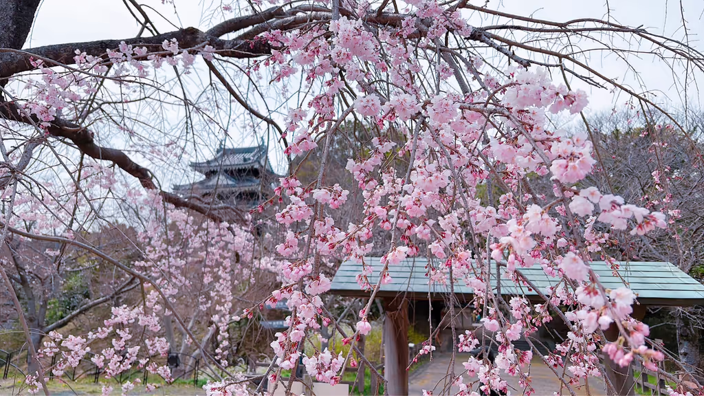 Nagoya Private Tour - 