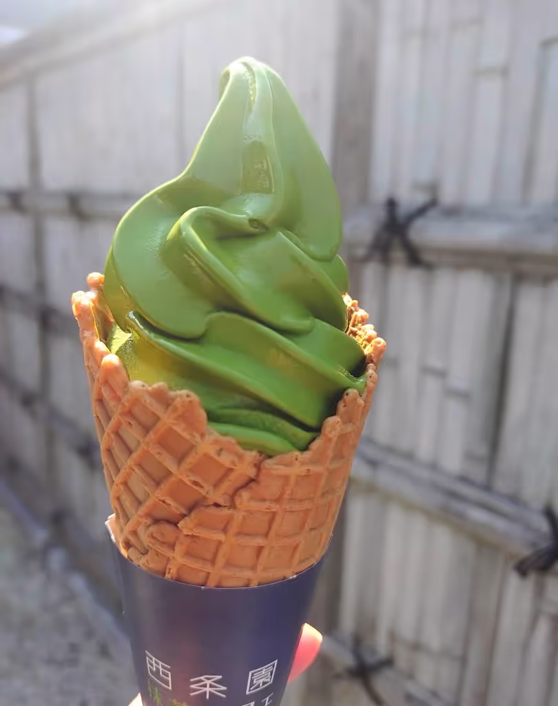 Nagoya Private Tour - 