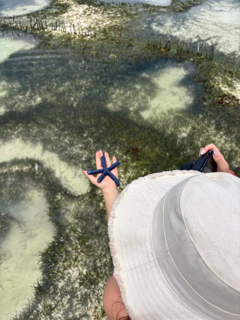 Zanzibar Private Tour - 