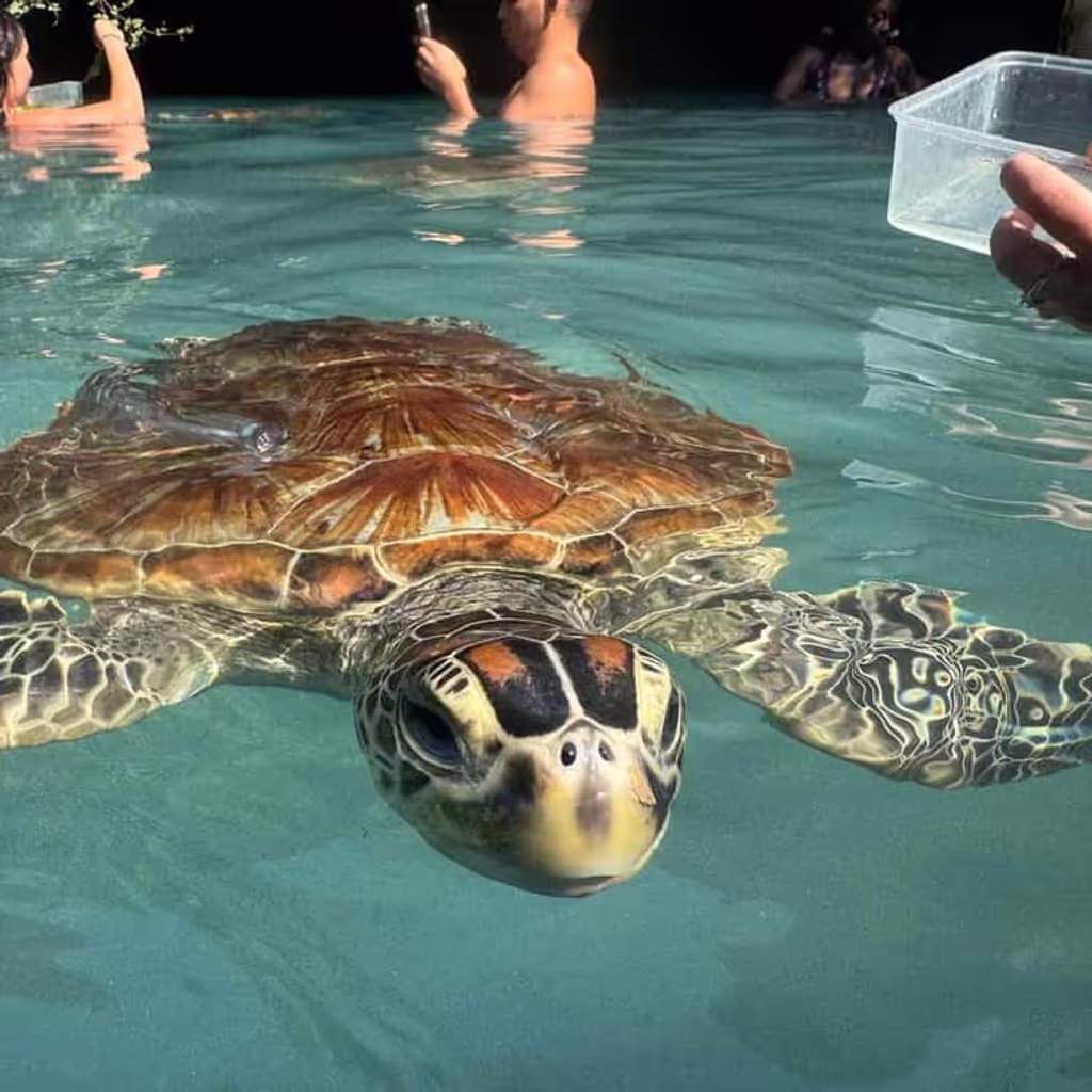 Zanzibar Private Tour - 