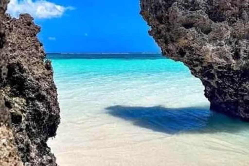 Zanzibar Private Tour - 