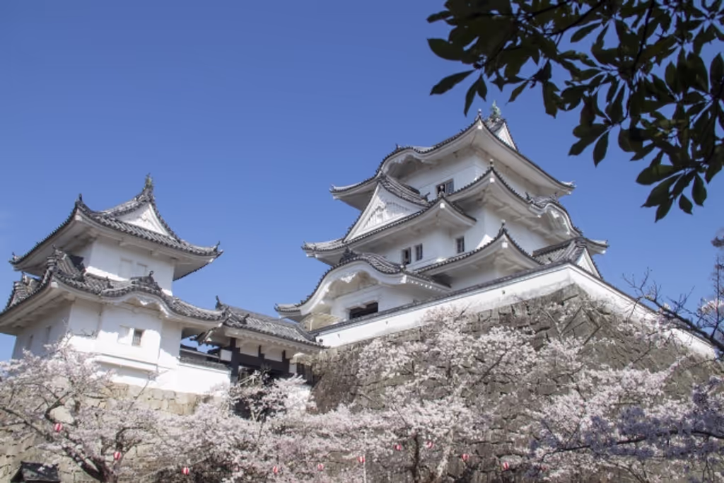 Mie Private Tour - Iga Ueno Castle