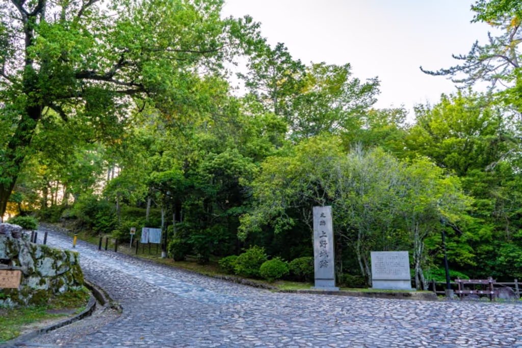 Mie Private Tour - Iga Ueno Castle Park