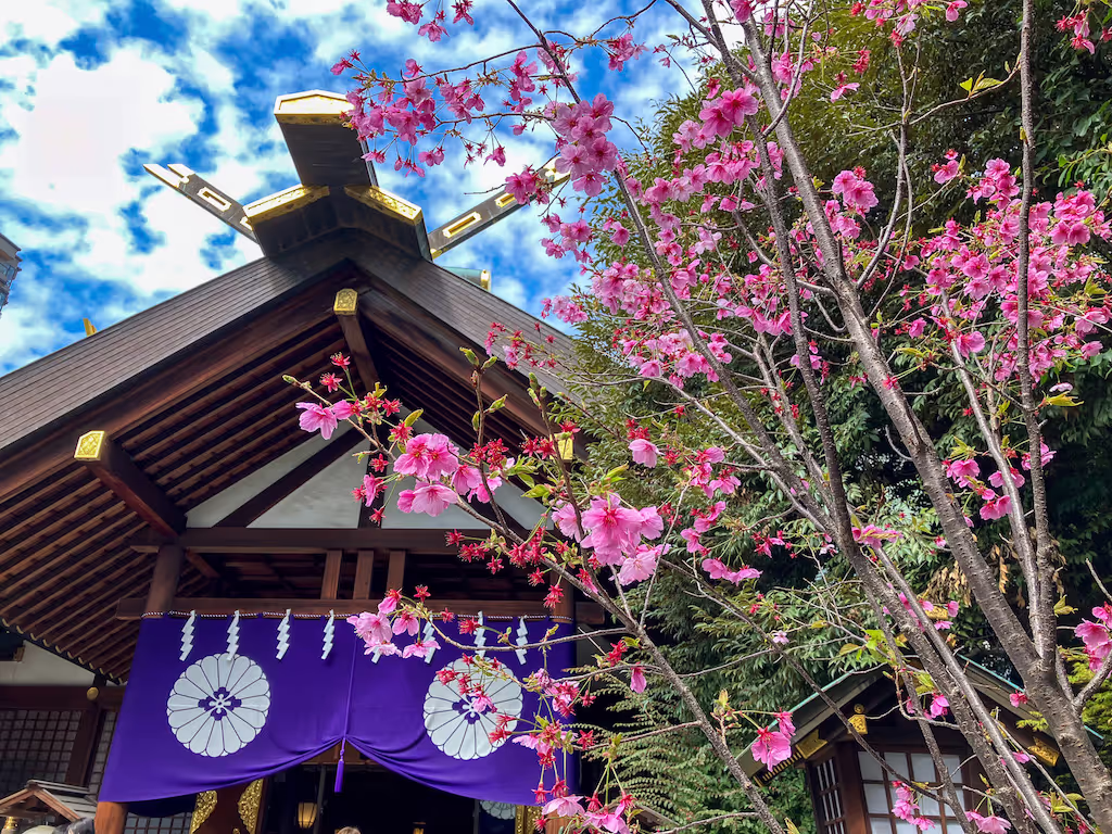 Kanagawa Private Tour - Tokyo Daijingu Shrine (Famous for Love & Matchmaki