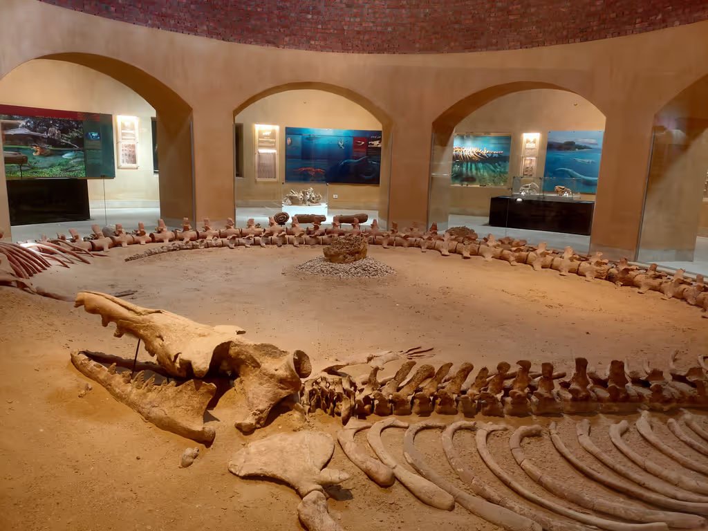 Minya Private Tour - 