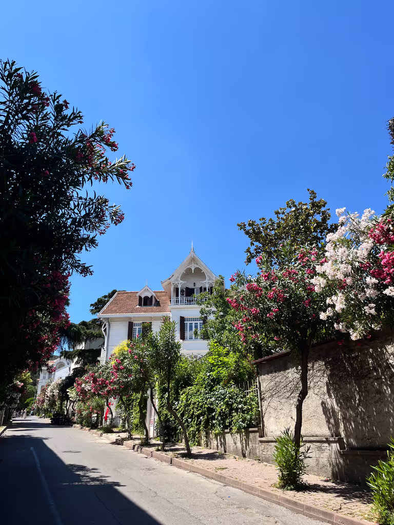 Istanbul Private Tour - mansion district