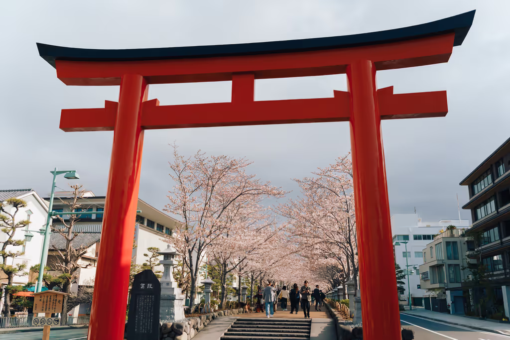 Kamakura Private Tour - A torii gate in Dankazura