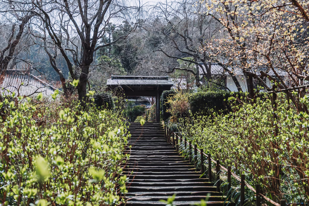 Kamakura Private Tour - Pathway at Meigetsuin