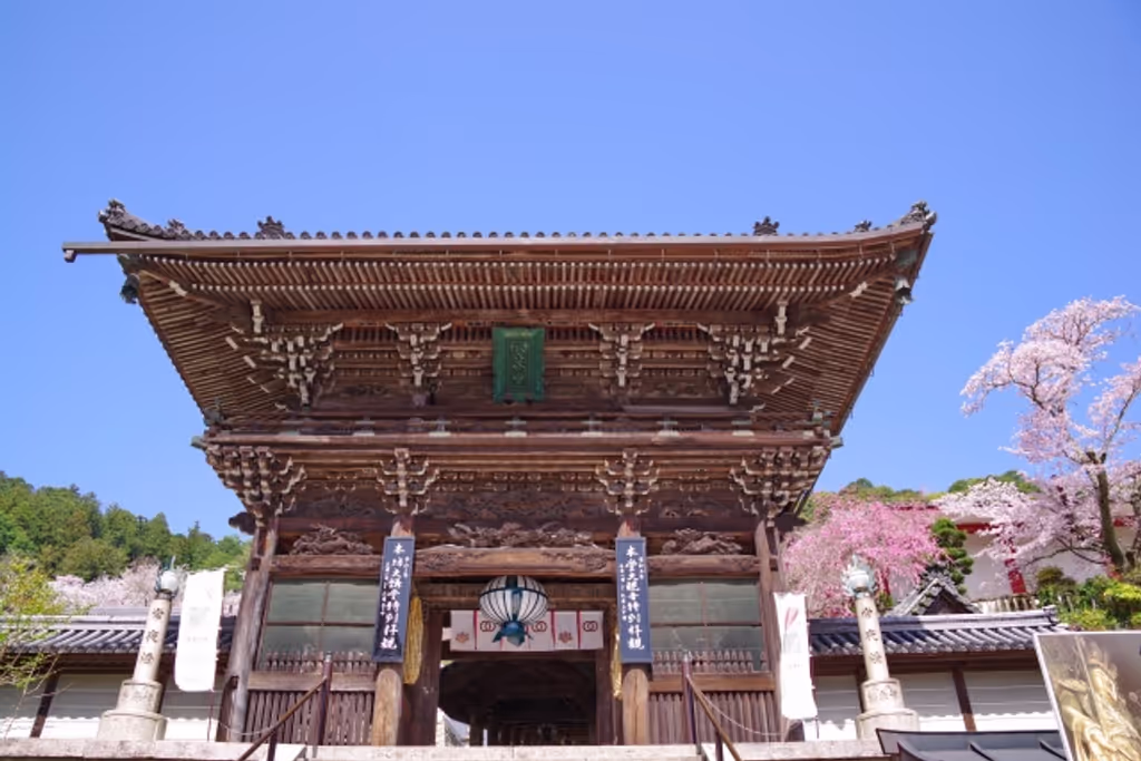 Nara Private Tour - The Niomon Gate at Hasedera Temple
