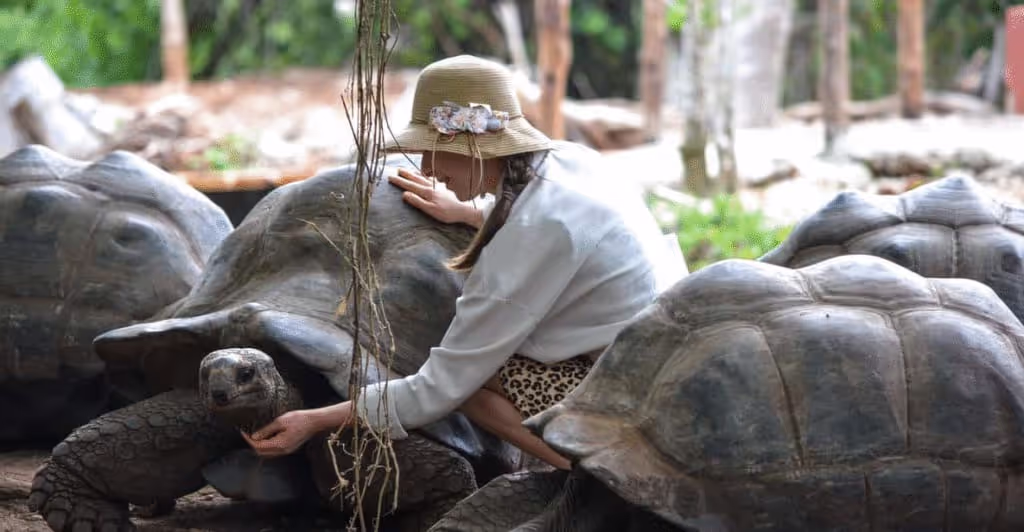 Zanzibar Private Tour - 