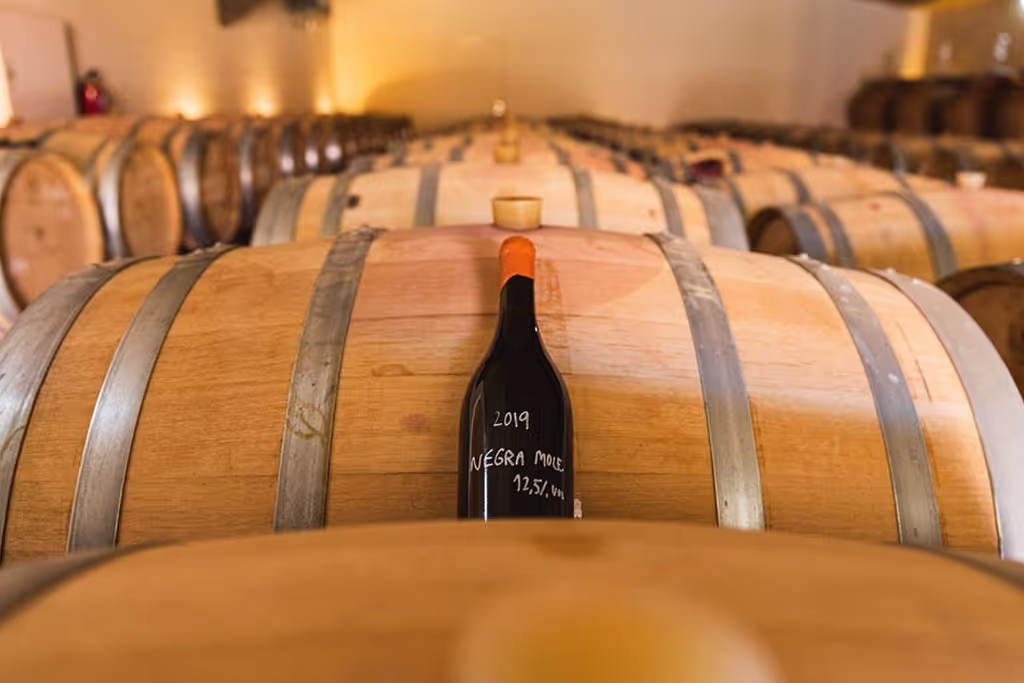 Lagos Private Tour - 