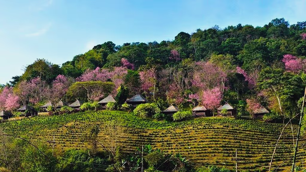 Chiang Rai Private Tour - 