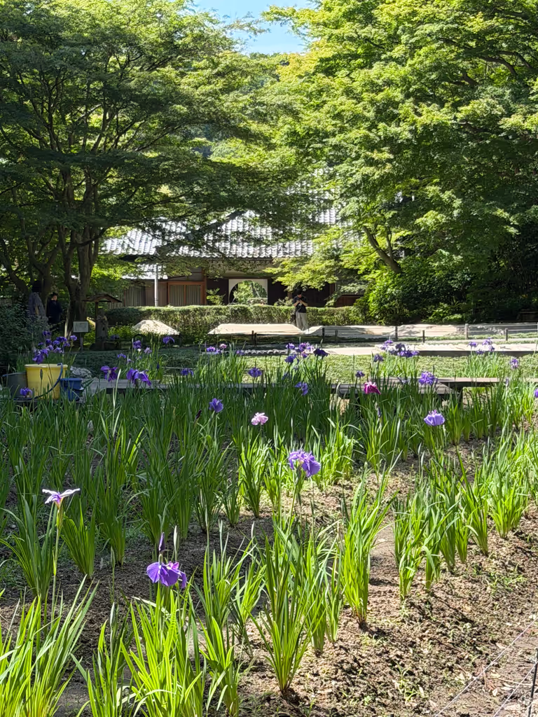 Kamakura Private Tour - 