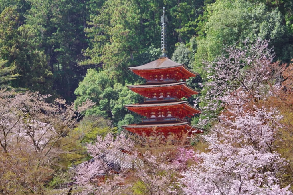 Nara Private Tour - The Five-Story Pagoda at Hasedera Temple