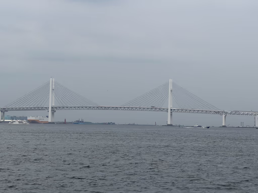 Yokohama Private Tour - 
