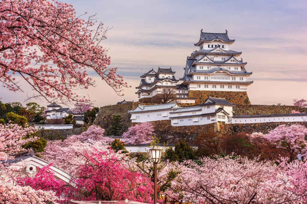 Himeji Private Tour - Himeji Castle