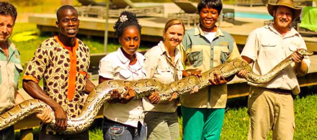 Dakar Private Tour - Python experience at the reserve