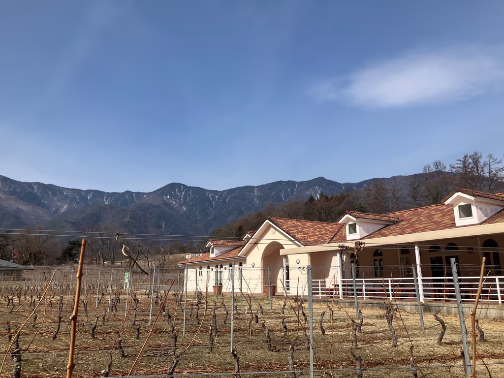 Nagano Private Tour - Azumino Winery