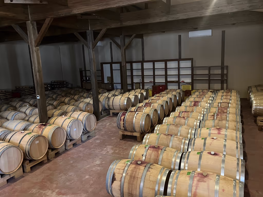 Nagano Private Tour - Wine Cellar of Azumino Winery