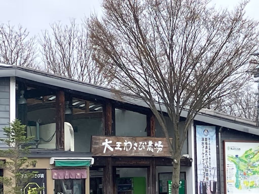 Nagano Private Tour - Daio Wasabi Farm