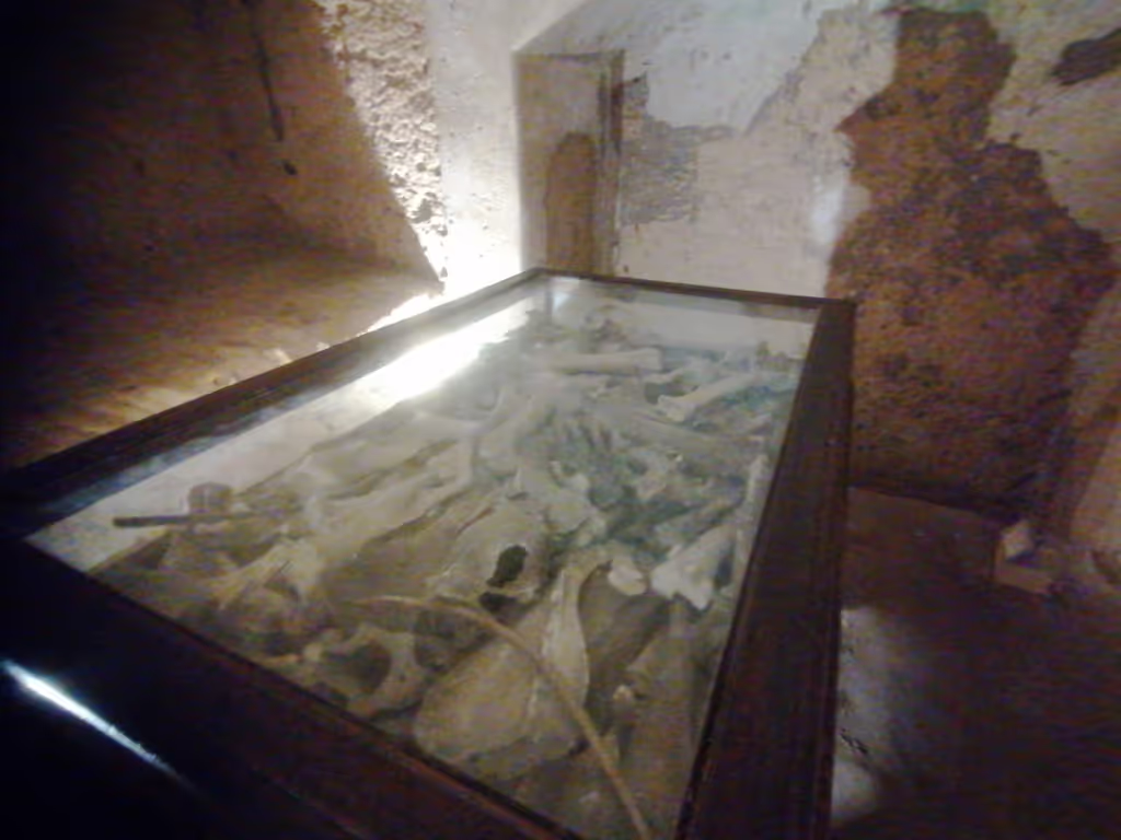 Alexandria Private Tour - 