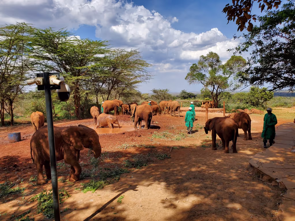 Nairobi Private Tour - 