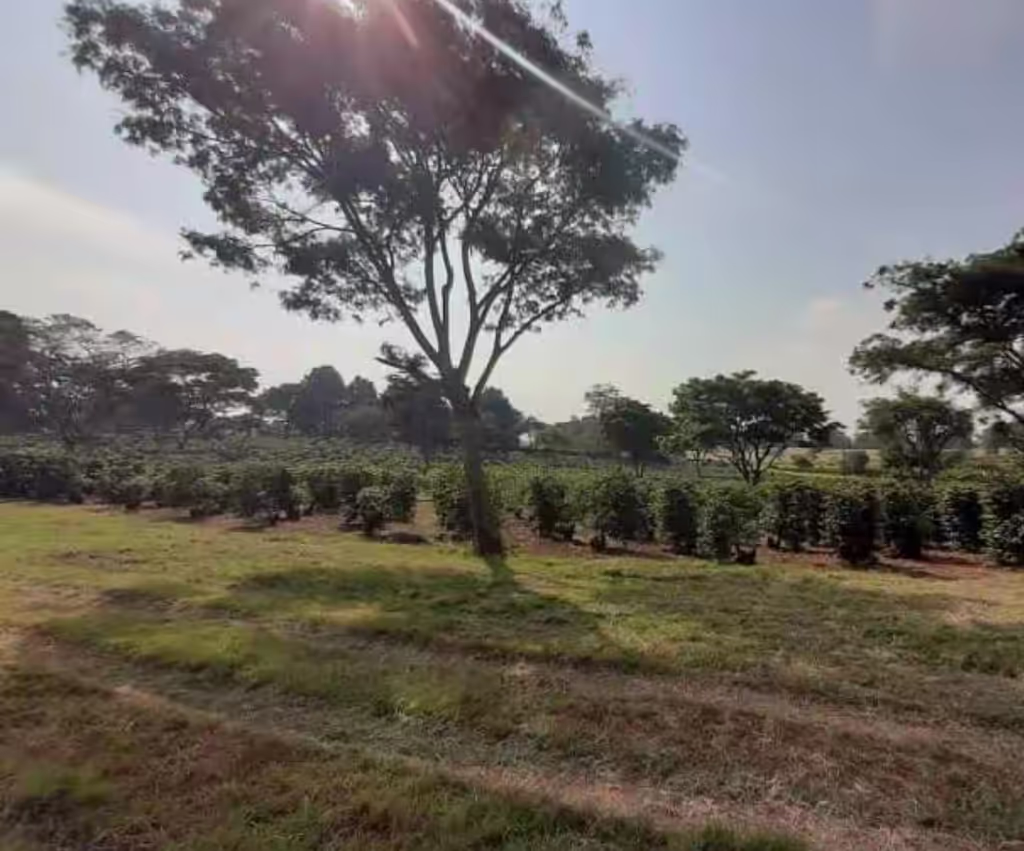 Nairobi Private Tour - 