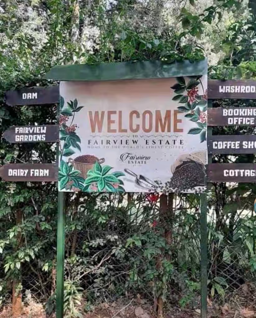 Nairobi Private Tour - 