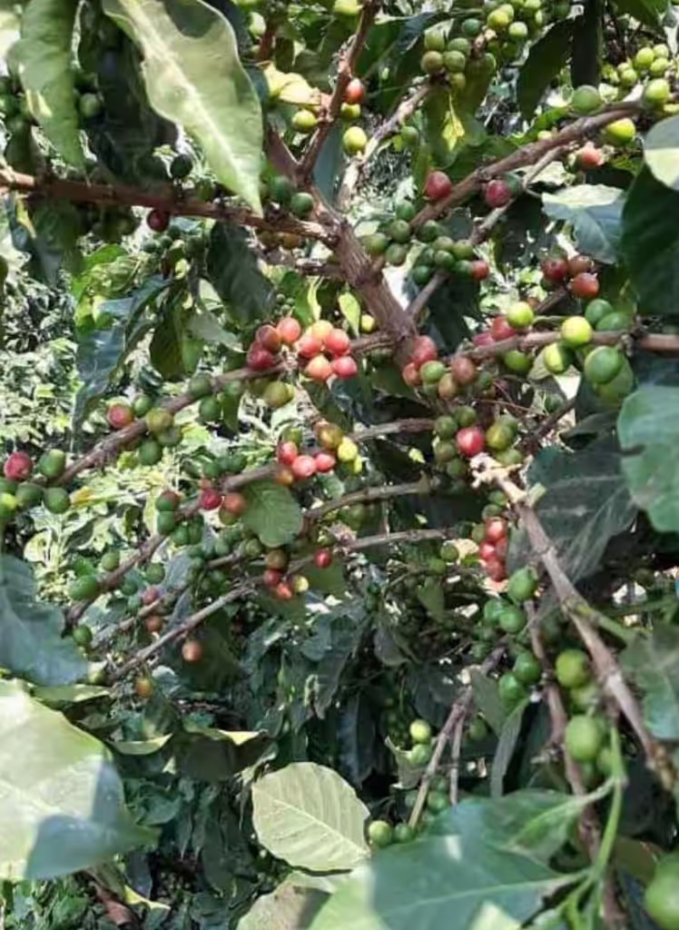 Nairobi Private Tour - 