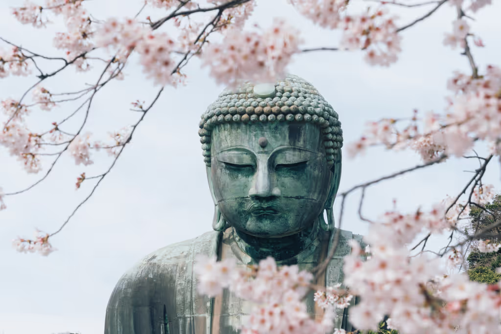 Kamakura Private Tour - The great Buddha with Cherry blossoms