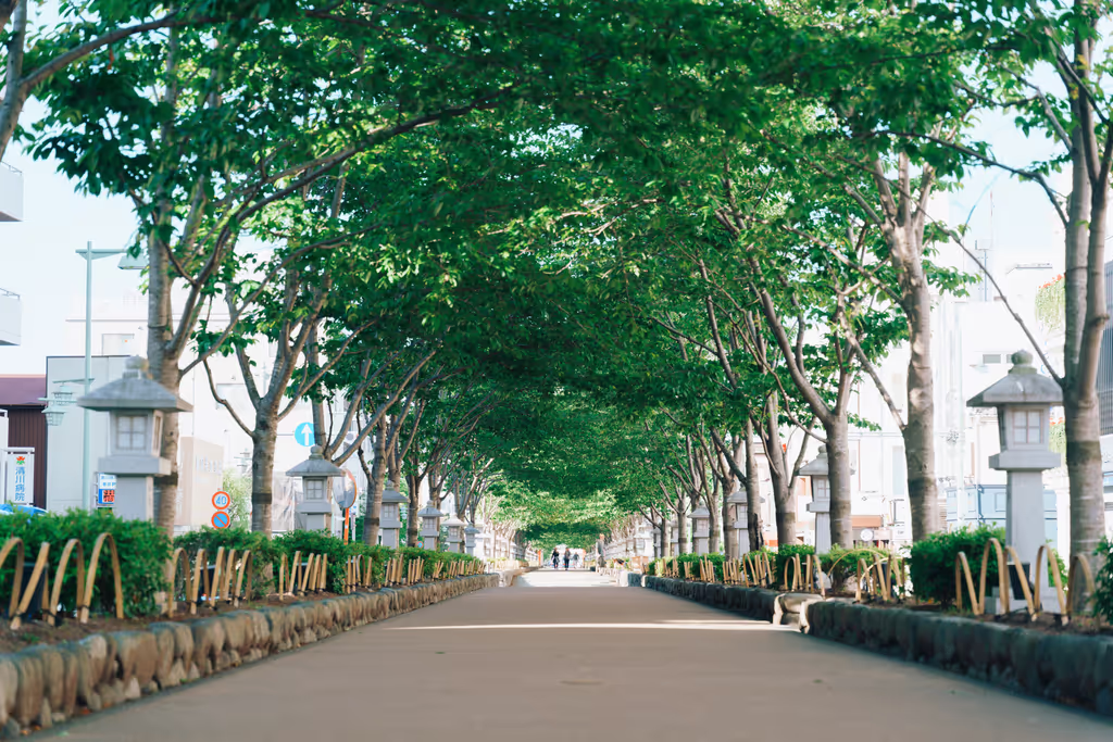 Kamakura Private Tour - Dankazura