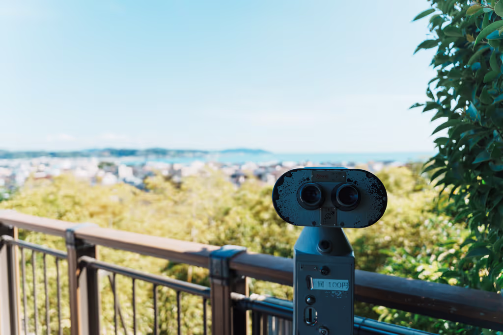 Kamakura Private Tour - Great view from Hase temple