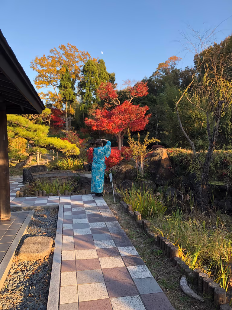 Osaka Private Tour - Fall glory!
