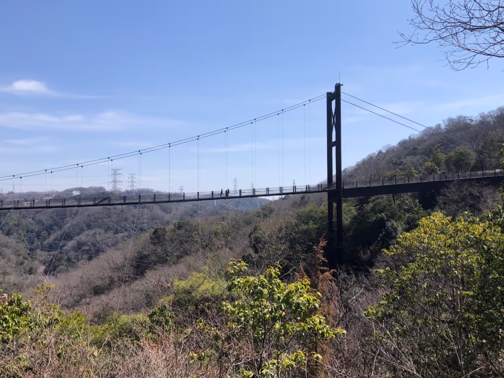 Osaka Private Tour - Spectacular views of Kyoto and Osaka