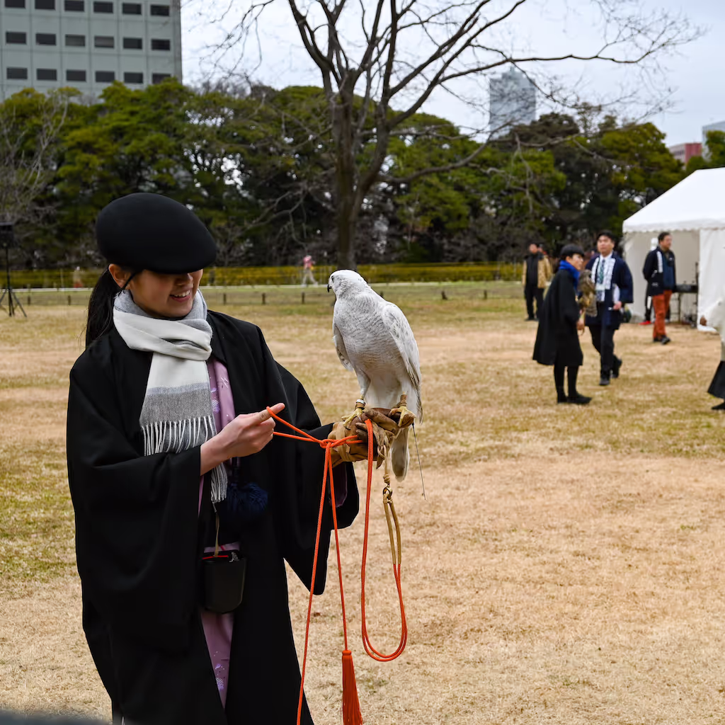 Kanagawa Private Tour - Falconry, Hamarikyu Garden