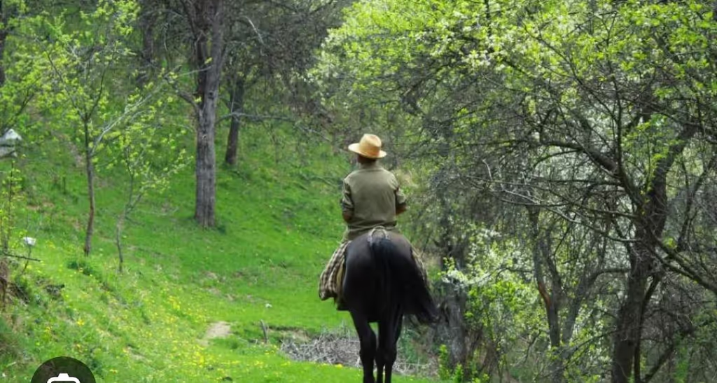 Nairobi Private Tour - horse riding