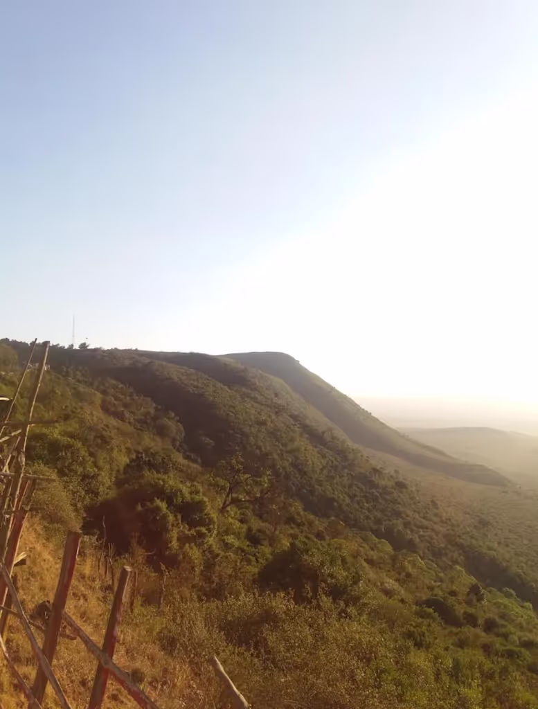 Nairobi Private Tour - 