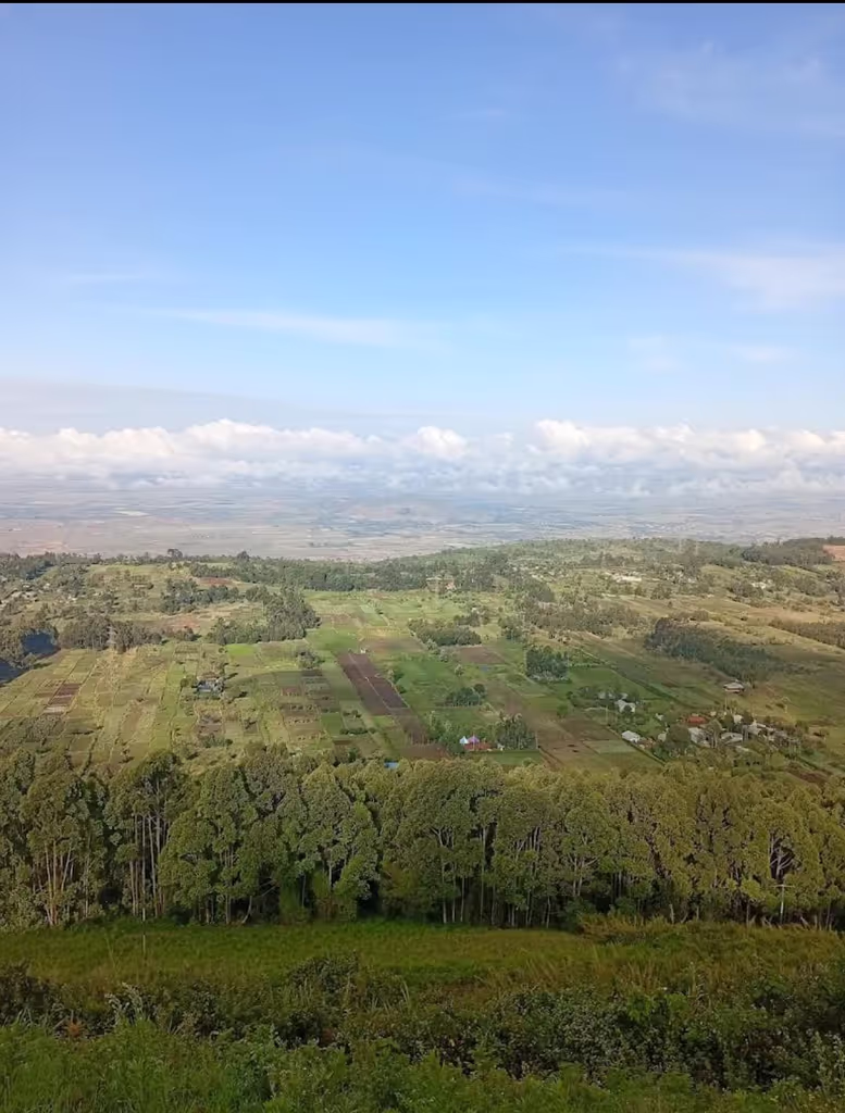 Nairobi Private Tour - 