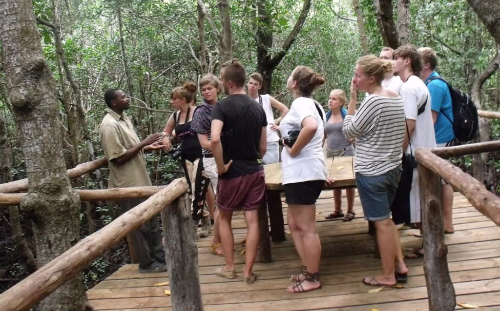 Zanzibar Private Tour - 