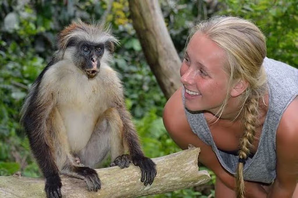 Zanzibar Private Tour - 