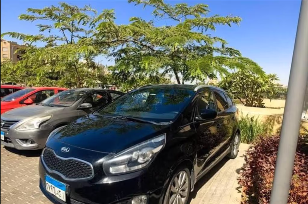 Cairo Private Tour - 